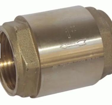 Brass Non Return Valve 1"