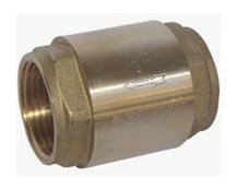 Brass Non Return Valve 1"